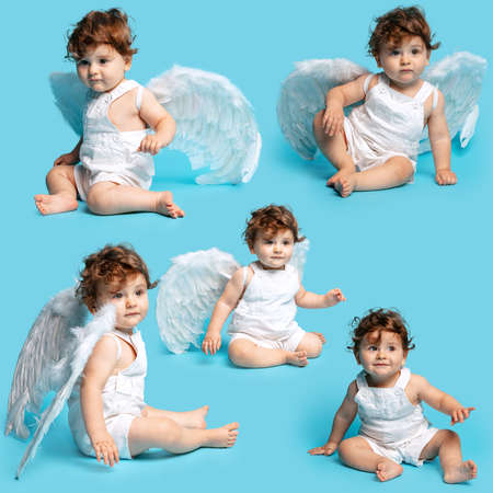 Collage of portraits of little boy, baby, child calmly sitting with angel wings and posing isolated...
