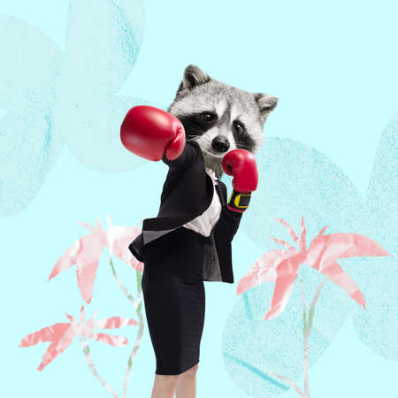 Contemporary art collage. Female with raccoon head in boxing gloves isolated over blue backgroundの写真素材