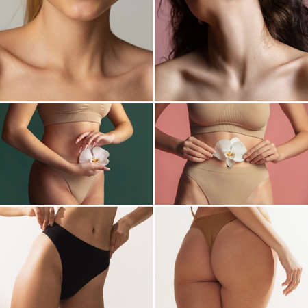 Collage. Body parts of beautiful female posing in underwear isolated over multicolored backgroundの写真素材