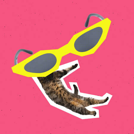 Contemporary art collage. Creative colorful design, poster. Domestic cat with giant retro glasses isolated over pink background. Concept of surrealism, imagination, inspiration. Copy space for adの写真素材