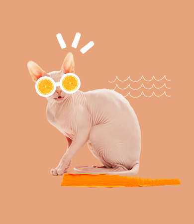 Contemporary art collage. Sphynx cat with oranges eyes isolated over orange background. Summertime...