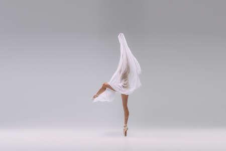 Portrait of young ballerina dancing with transparent fabric isolated over grey studio background. Tenderness. Secrets. Concept of classic ballet, inspiration, beauty, dance, creativityの写真素材