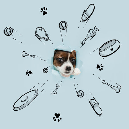 Charming doggy. Little cute puppy dreaming about toys, bones, food, and new house. Collage with drawings, doodles. Animal, art, creativity. Creative design for greeting card, ad posterの写真素材