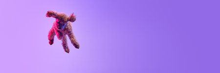 Dynamic portrait of active playful red-brown Poodle dog jumping and flying over purple background in neon light filter. Concept of fashion, beauty, health and motion. Pet having funの写真素材