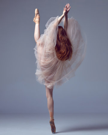 Demonstrating flexibility. One young dancer, beautiful ballerina with red hair wearing tulle dress dancing over grey studio background. Back view. Concept of beauty classical ballet art, aestheticの写真素材