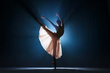 Elegant, tender, slim, talented girl, female ballet dancing dancing against dark blue background with spotlight. Concept of art, classical ballet, creativity, choreography, beauty, adの写真素材