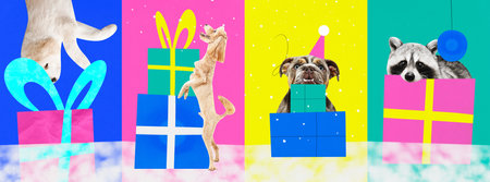Contemporary art collage. Modern creative funny artwork. Set made of posters of funny pets, dogs and racoon with presents, gifts for winter holidays. Concept of New Year, Christmas, animals. Post cardの写真素材