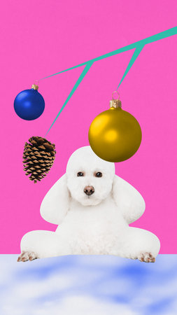 Poster. Contemporary art collage. Modern creative funny artwork. Puppy, purebred white poodle looking on drawn New Year tree stick with toys over pink background. Concept of holidays, Christmas, partyの写真素材