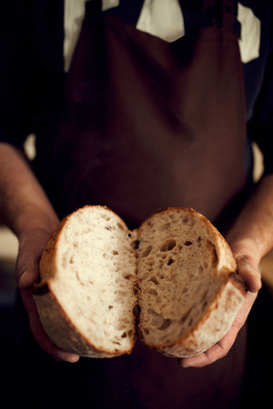 Man in brown apron holds in hands two halves of just prepared, delicious, hot homemade loaf of bread...
