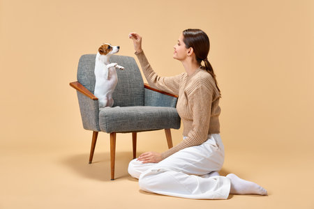 Playful, adorable Jack Russell Terrier sitting on chair and follows commands of hostess sitting next to her against beige studio background.Concept of animal, pet lover, friendship, domestic life.の写真素材