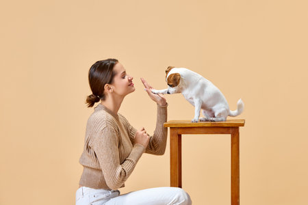 Give me paw. Portrait of female model with her lovely pet, purebred Jack Russel Terrier who follows...