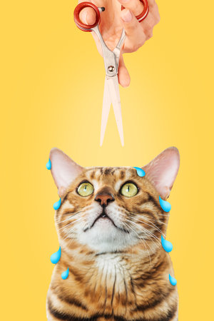 Modern aesthetic artwork. Person holding scissors over stressed cat against yellow background. Pets Grooming services. Concept of pet, animal spa, veterinary, pet lovers. Adの写真素材