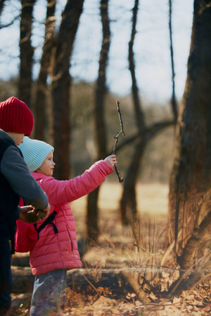 Moment of curiosity as child inspects branch on bright woodland walk. Discovering world on school lessons. Concept of outdoor activities for childrens development, school, childhood, fashion. Adの写真素材