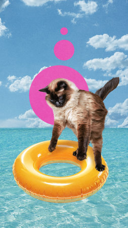 Purebred playful cat jumping into colorful floating rings in transparent turquoise sea under clear blue sky. Contemporary art collage. Concept of summer, vacation, animal theme, travellingの写真素材