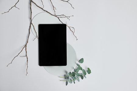 Tablet with dry branch and eucalyptus on neutral surface. Balanced composition with negative space for text or logo overlays, ideal for business use. Concept of business, marketing, aesthetic.の写真素材