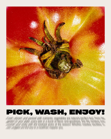 Conceptual graphic design. Close-up of vibrant yellow-red tomato with text PICK, WASH, ENJOY, promoting direct, wholesome engagement with fresh organic produce. Concept of farming, gardeningの写真素材