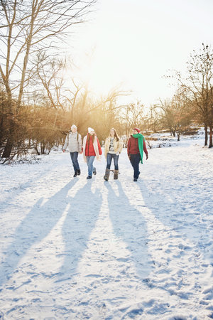 Group of four friends walks through snowy park, chatting and enjoying winter landscape in sunny, cold park. Concept of winter, vacation, human emotions, nature, leisure time.の写真素材
