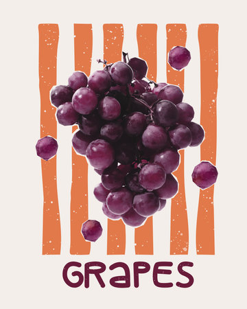 Folk art collage. Deep purple grapes arranged against orange vertical lines, juicy texture and bold shape bring energy of harvest and rustic sweetness. Grape Rhythm. Concept of seasonal fruit, freshの写真素材
