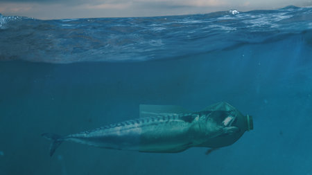 Fish enclosed in green plastic bottle underwater pollution concept. Concept of environmental threat, marine crisis, sustainability education for NGO, eco-awareness, and science communication.の写真素材