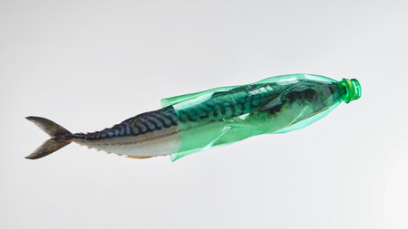 Mackerel inside green plastic bottle symbolizing marine pollution. Concept of ocean contamination, biodiversity loss, sustainability awareness for environmental campaigns and NGO visuals.の写真素材