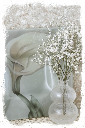Winter flowers in pastel colorsの写真素材