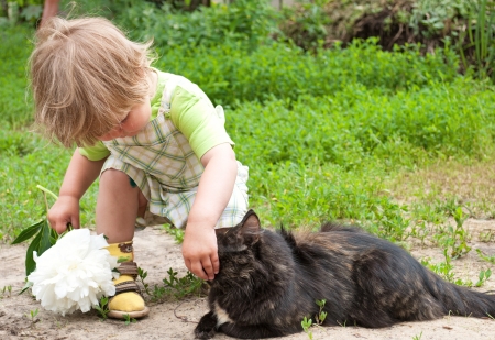 Cat and a child on beautiful summer day の写真素材