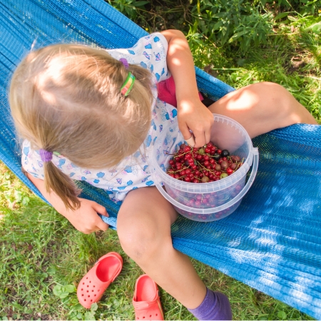 The little girl is sitting on hammock and eating berriesの写真素材