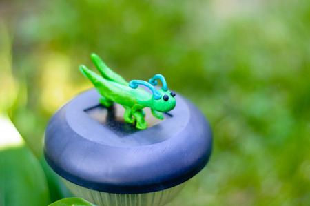 Grasshopper made of modeling clay on natural backgroundの写真素材