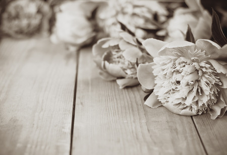 Sepia flowers on wooden background. Soft focusの写真素材