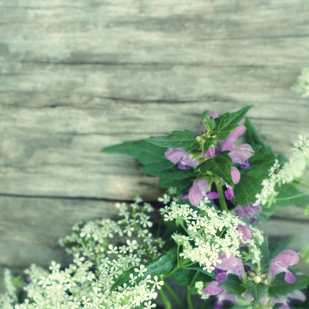 Summer white flowers on vintage wooden backgroundの写真素材