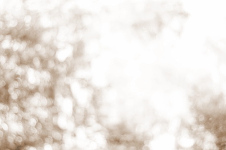 Blurred sepia bokeh background of nature .の写真素材