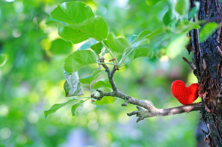 Red heart, valentines day postcard, I love you,の写真素材