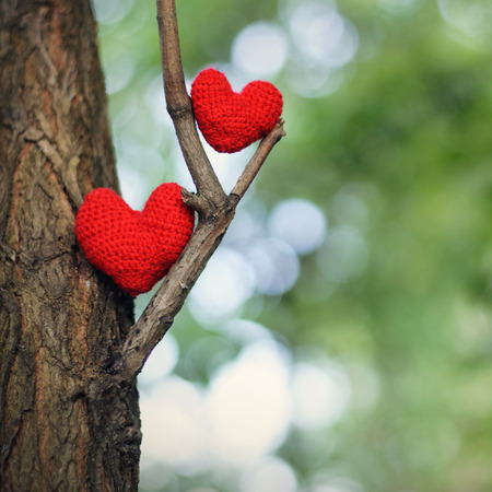 Two red hearts on tree. valentines day postcard, I love you,の写真素材