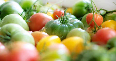 Tomatoes. colorful tomatoes  on table blurred background.の写真素材