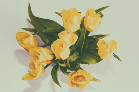 Bouquet with yellow flower tulip on white background