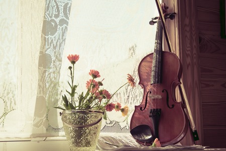 Horizontal image of the bottom half of a violin with sheet music and flowers the front of the fiddle on windows background.の写真素材