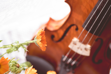 Horizontal blurred image of the bottom half of a violin and flowers the front of the fiddle on windows background.の写真素材