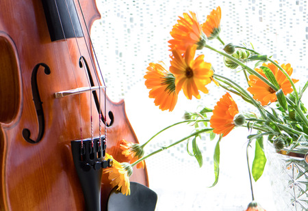 Horizontal image of the bottom half of a violin with sheet music and flowers
 the front of the fiddle on windows background.の写真素材