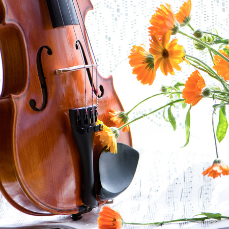 Horizontal image of the bottom half of a violin with sheet music and flowers
 the front of the fiddle on windows background.の写真素材