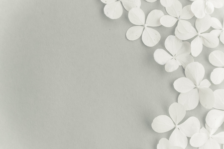Summer white wild flowers on grey background. Springtime floral composition. Frame made of fresh flowers on pastel background. Flat lay, top view, copy space.の写真素材
