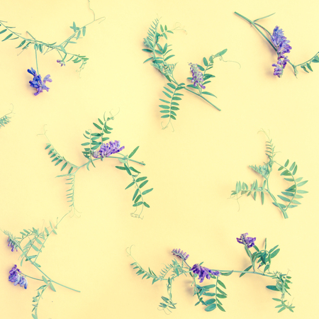 Summer lilac wild flowers on yellow background. Springtime floral composition. Frame made of fresh flowers on pastel yellow background. Flat lay, top view, copy space.の写真素材