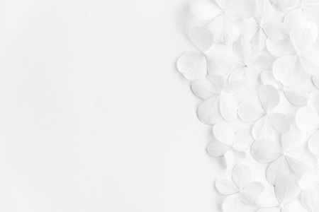Summer white wild flowers on white background. Springtime floral composition. Frame made of fresh flowers on white background. Flat lay, top view, copy space.の写真素材
