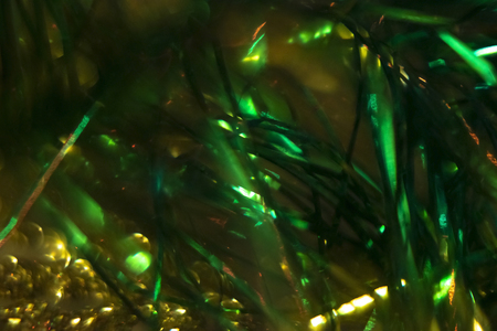 Green blurred holiday bokeh. Abstract Christmas background - Image
の写真素材