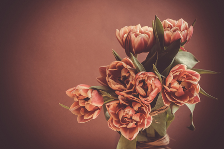 Pink beautiful tulips flowers images on pink dark background. Waiting for spring. Happy Easter card. Vintage effect under the old photo with grainの写真素材