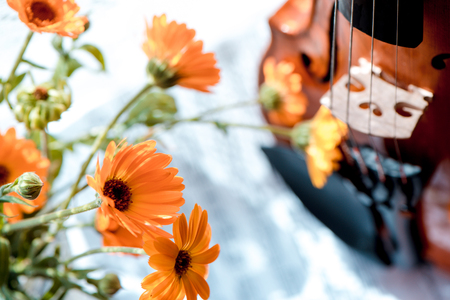 Horizontal image of the bottom half of violin with sheet music and flowers the front of the fiddle on windows. Close-up, concept artの写真素材