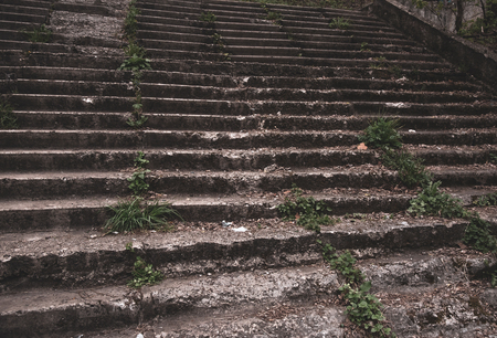 Old stairs in the park, with ruined, crumbling and grass-covered steps. Gloomy, mystical toning. The...
