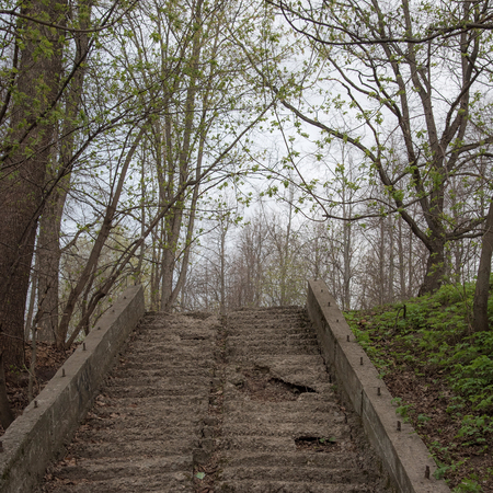 Old stairs in the park, with ruined, crumbling and grass-covered steps. Gloomy, mystical toning. The...
