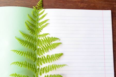 Top view image of open notebook with blank pages on white desk, that was covered by fresh green leaves. Ready for adding text or mockupの写真素材