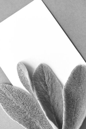 A concept of minimalist lifestyle composition, delicate fresh plant leaves frame and white pages with place for text, on paper background. Black and white photoの写真素材