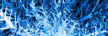 Trend color 2020 classic blue, layout for design. Nature plant toned in trendy blue color. Trendy...